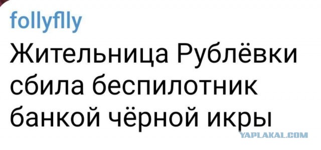 Победная поступь идиотизма по планете – том 15