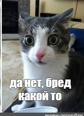 Польша требует извинений за чествование украинского ветерана СС в Канаде.