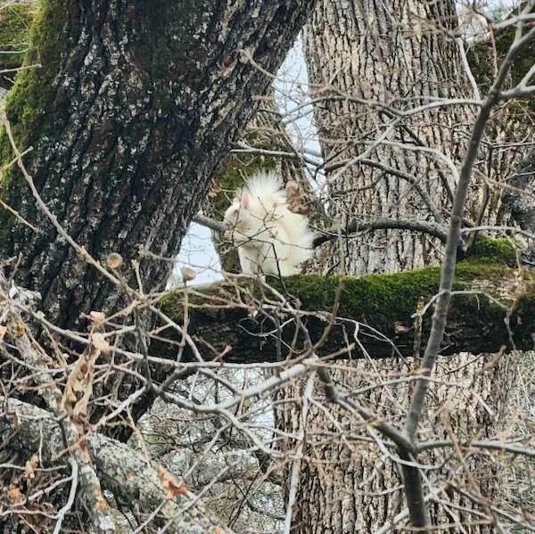 ФотоВинегрет