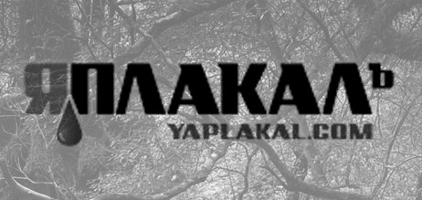 Навальный – президент ботов