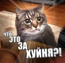 Стена плача