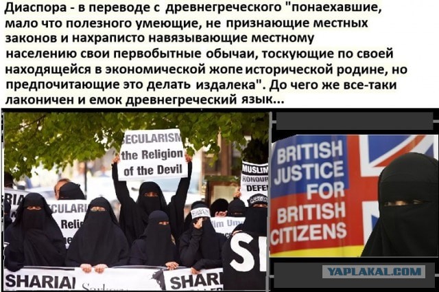 Картиночки, баянчики 04 февраля