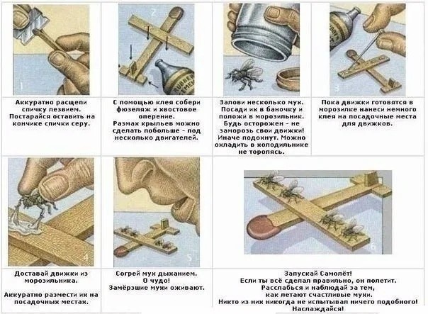 Муха