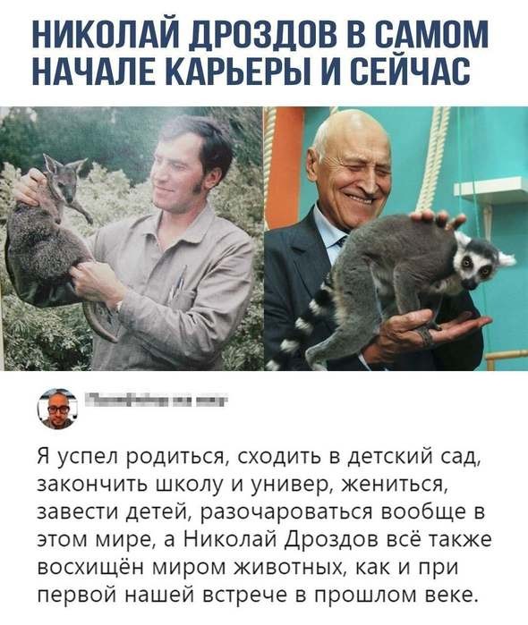 Картинки для деградации 270 (разной степени свежести)