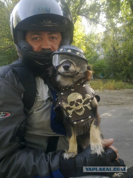 Я привыкаю к несовпаденьям(с)