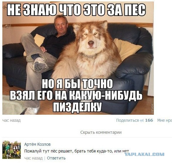 Смешные картинки
