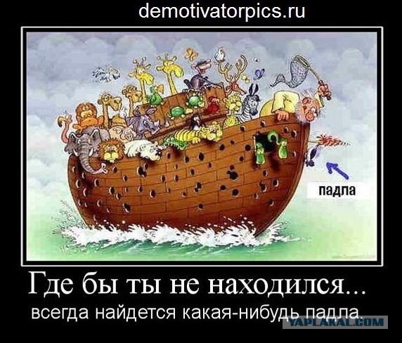 Горячие демотиваторы