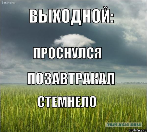 Смешные комментарии из социальных сетей 15.11.14