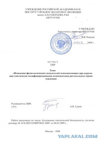 Мифы нашего времени: ГМО