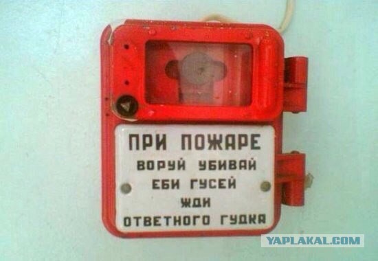 Прикольные объявления и надписи