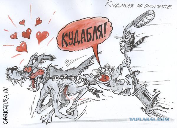 Утренний блокбастер
