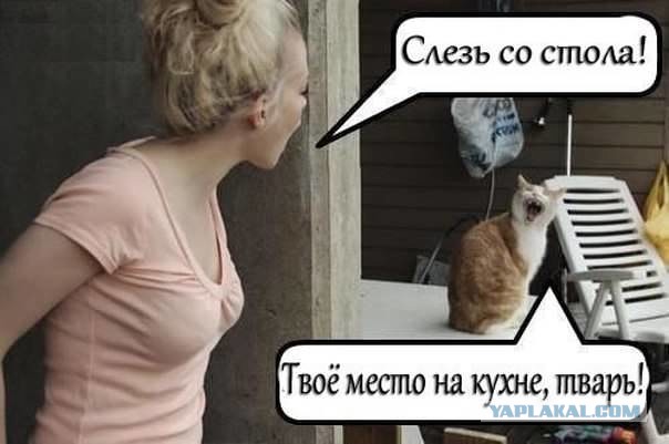 Весёлые картинки