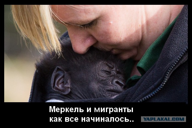 Интересные и веселые картинки