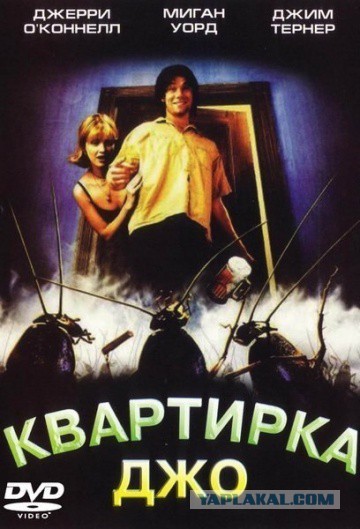Синдром Плюшкина