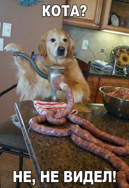 Мохнатые беспредельщики
