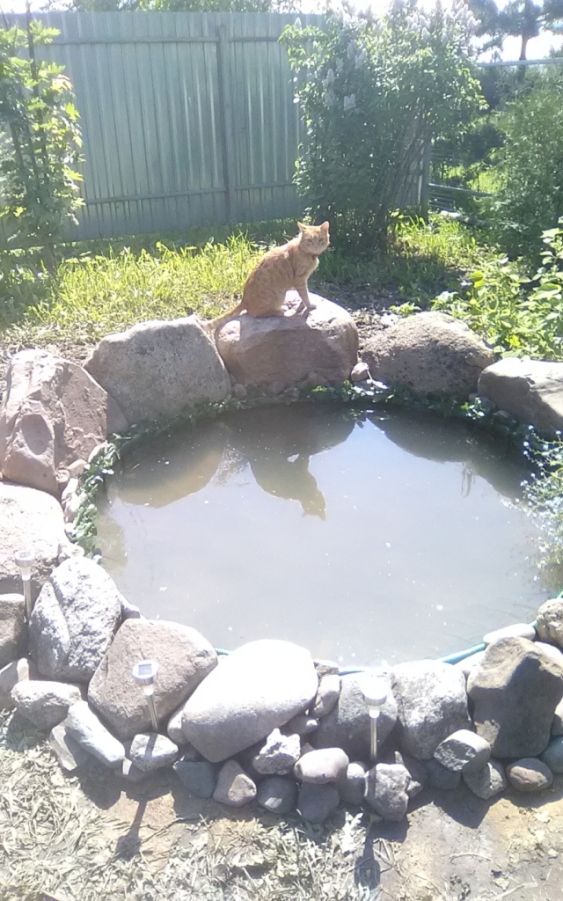 Пруд рукотворный!