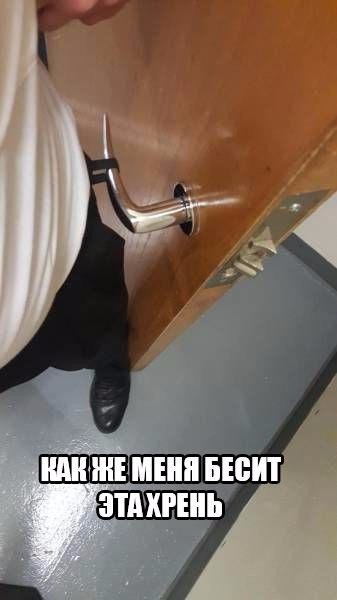 Картинки и приколы из сети