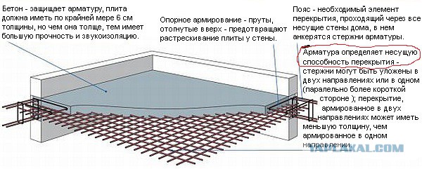 Привет, сосед!