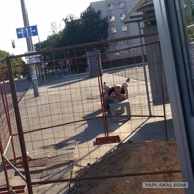 Топ-11: Шокирующие места, где людей застали врасплох за занятием сексом