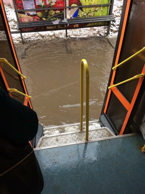 Подборка безудержного веселья