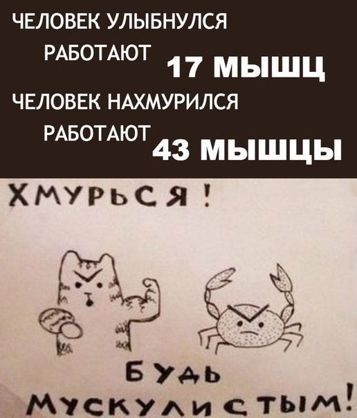 Картинки всякие для поднятия настроения!