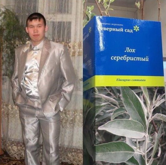 Фото-ассорти на пятницу