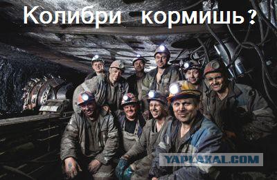 Будний день программиста в Калифорнии