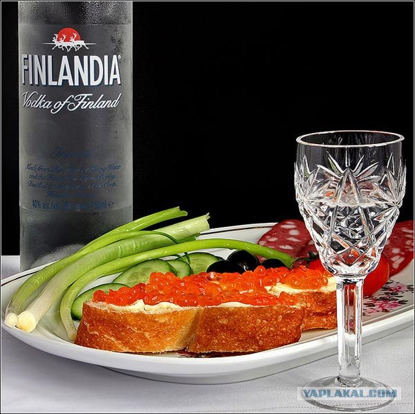 Как я стал знатоком водки.