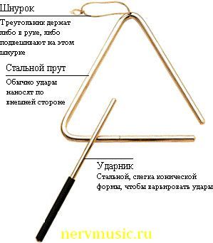 Друзья Пашкета  (Клуб друзей Пашкета)