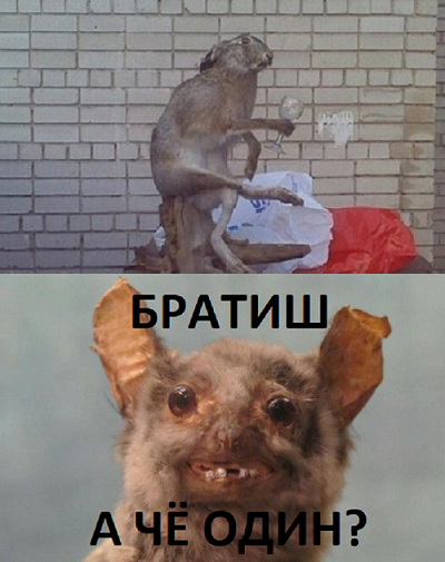 Прикольные картинки.