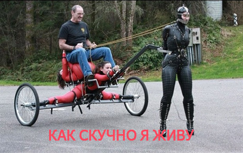 В Липецке парень выгуливает на поводке девушку с голубыми волосами