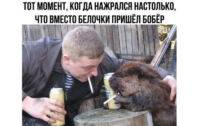 Сорок градусов (Алкопост)