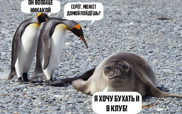 Нестандартный юмор