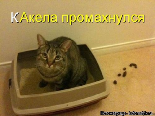 Кроличья нора