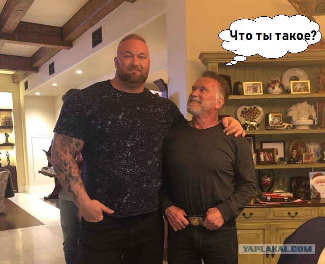 Малыш Арни