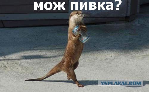 Обсуждение: Дуэль по Фотожабе номер 1