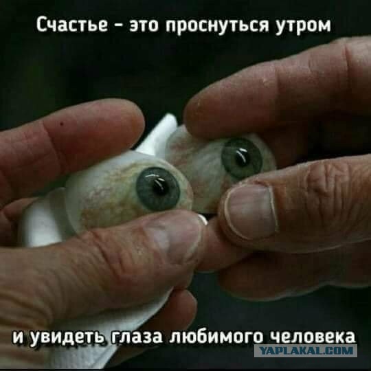 Особые навыки