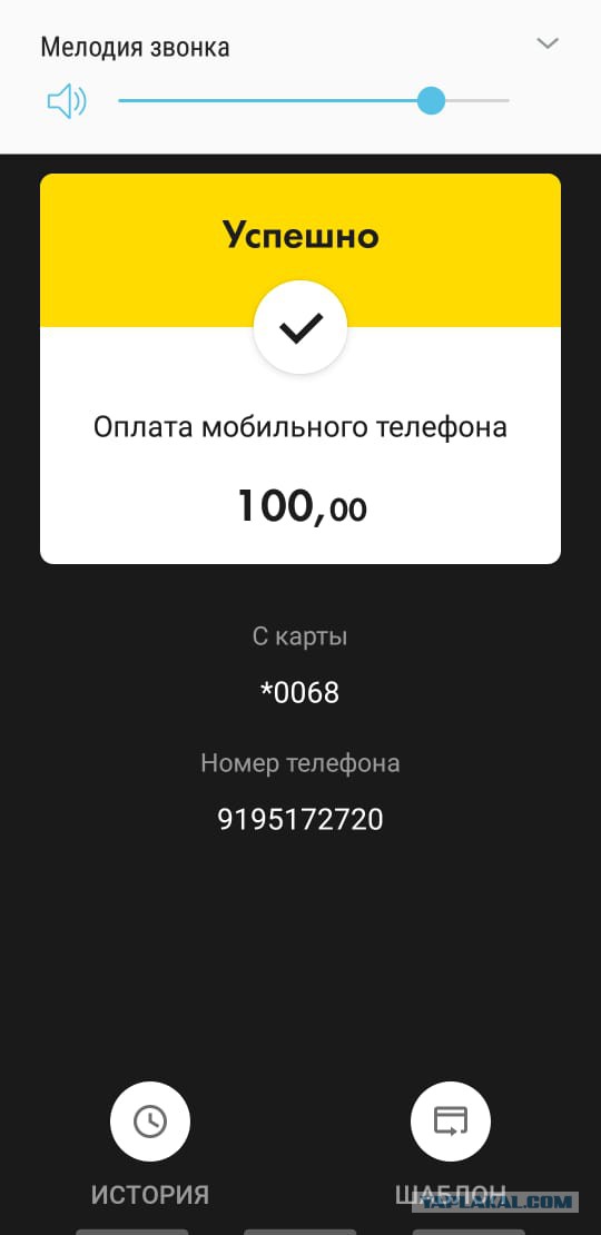 Школьники ищут работу