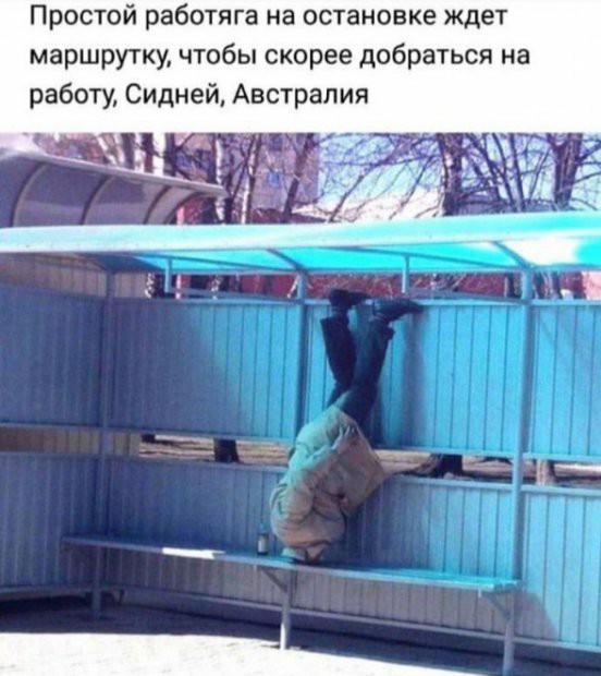 Сто и одна картинка в этот четверг