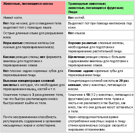 Мясо: польза или вред?