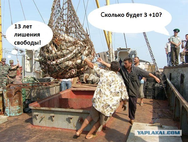 Конкурс на лучшую фотожабу против браконьеров.