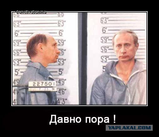 Владимир Владимирович меняет профессию