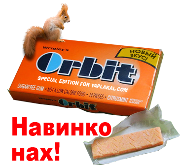 Орбит лесные травы