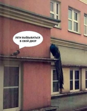 Нашел женщину без комплексов. Последствия