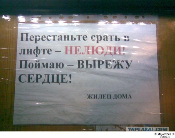 Объявления