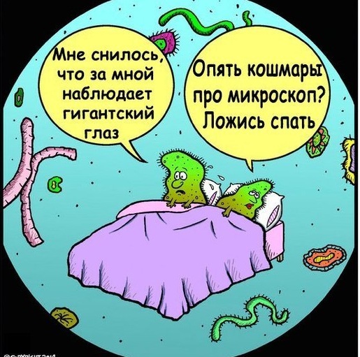 Подарили дочке на новый год микроскоп и тут началось...