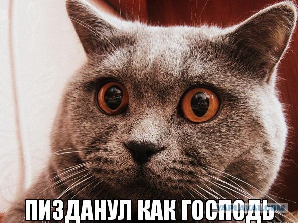 Света из Иваново версия 2.0