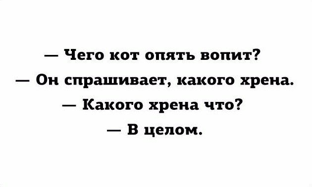 Обнулилось все
