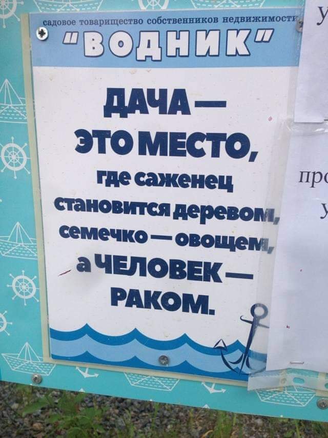 Немного картинок для настроения 21.07.20