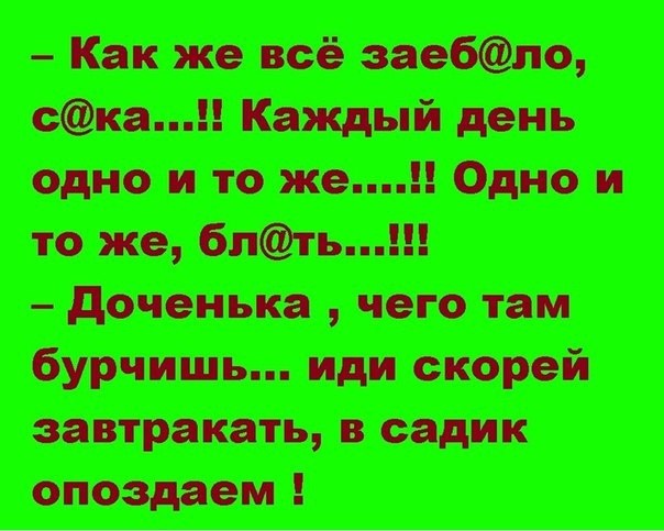 Фотки и картинки: юморные и красивые, забавные и милые